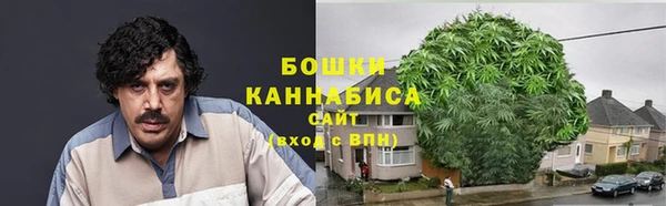 дмт Надым