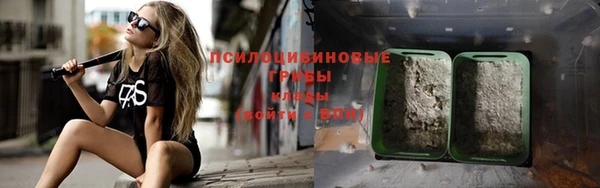 дмт Надым