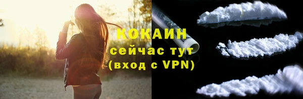 дмт Надым