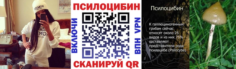 Псилоцибиновые грибы Psilocybe  Жуковский 