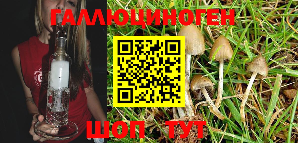 Псилоцибиновые грибы мухоморы Жуковский