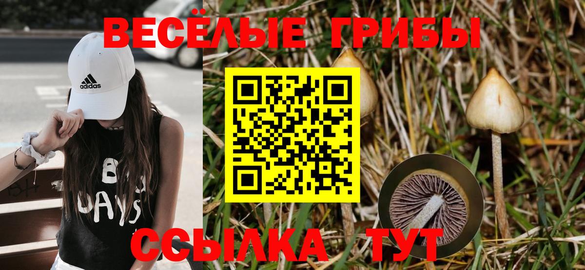 Псилоцибиновые грибы ЛСД  сколько стоит  Жуковский 